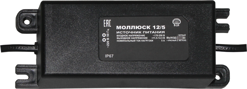 mollusk-12-5